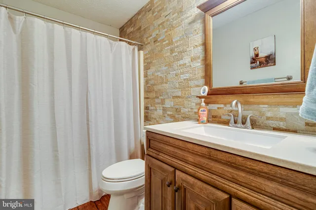 a bathroom with a sink and a toilet