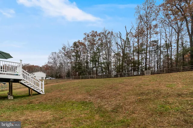 a view of a field with trees in the background