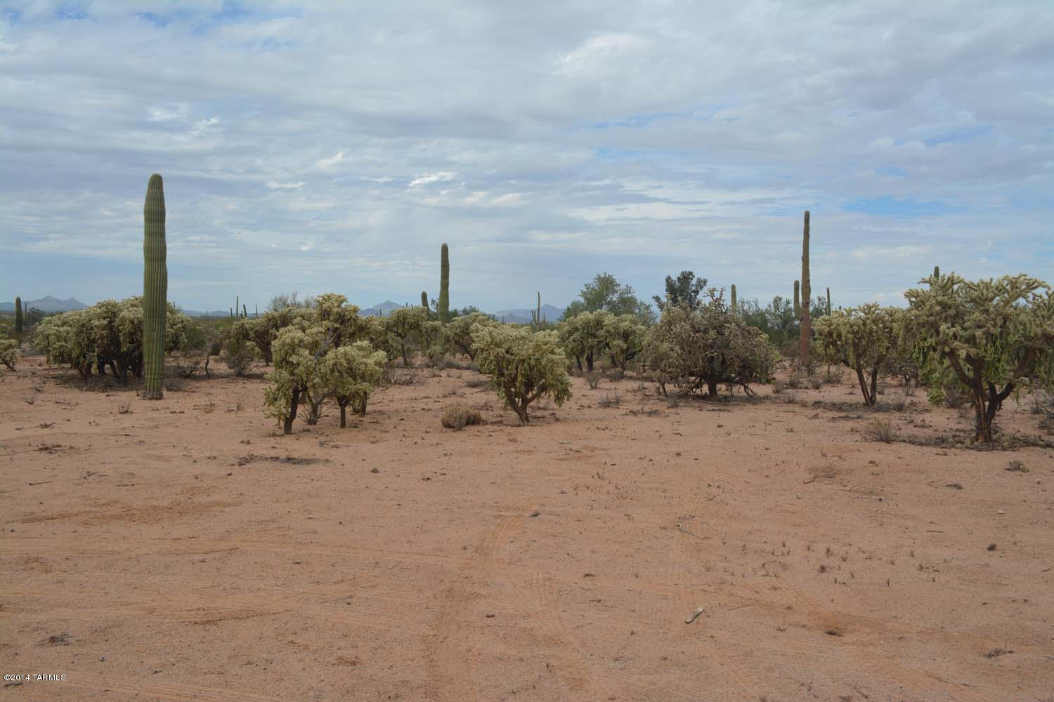 12590 West Mile Wide Road, Unit 1 Tucson, AZ 85743 - Photo 12 of 14
