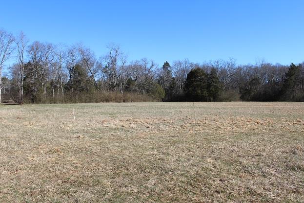 2 Coleman Road Murfreesboro, TN 37127 - Photo 3 of 5 Gallery Image 3