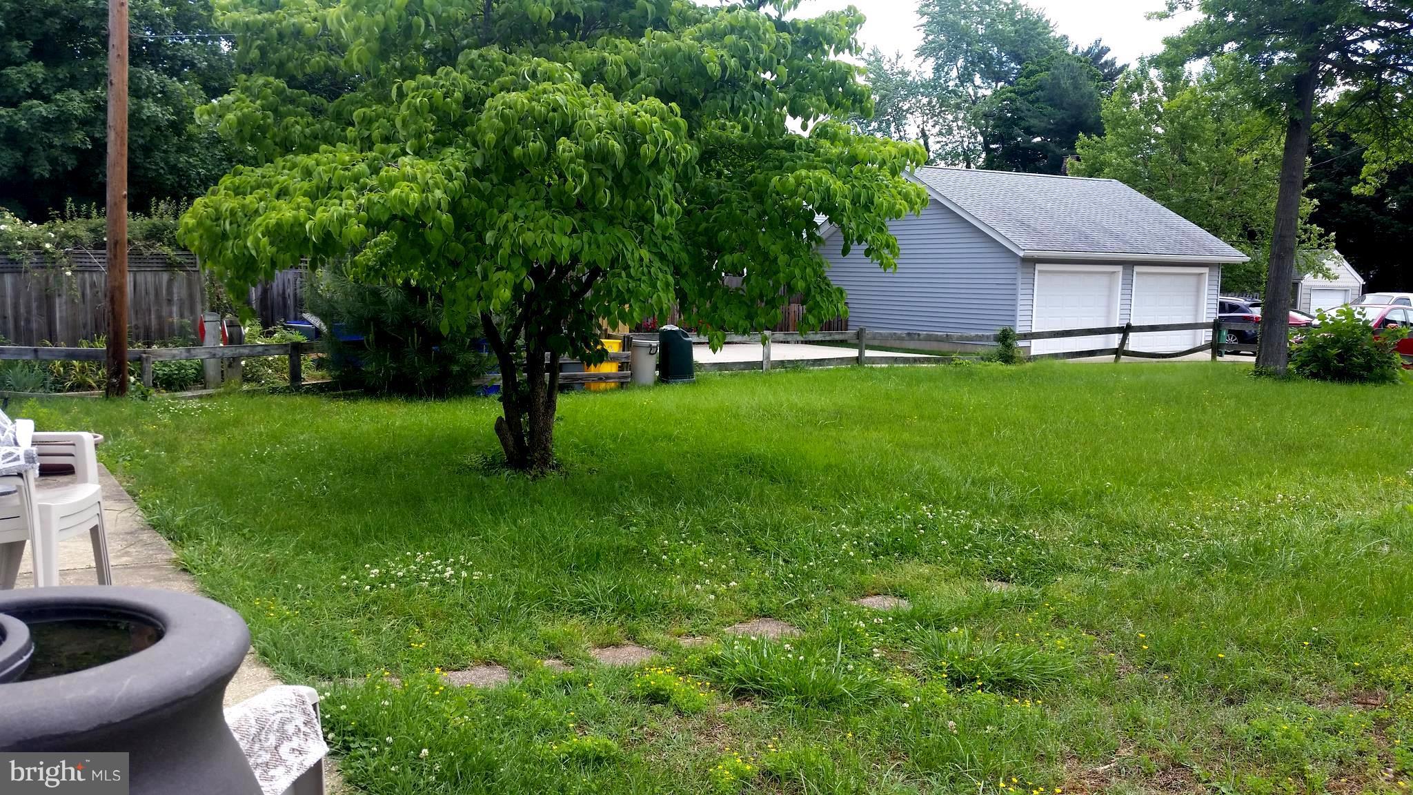 809 Bay Ridge Avenue, Unit 3 Annapolis, MD 21403 - Photo 16 of 16 Rear yard