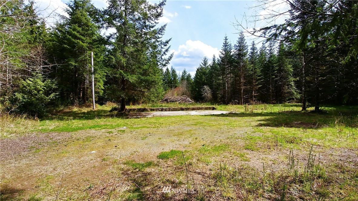 6344 Matlock-Brady Road Elma, WA 98541 - Photo 1 of 15 Gallery Image 1