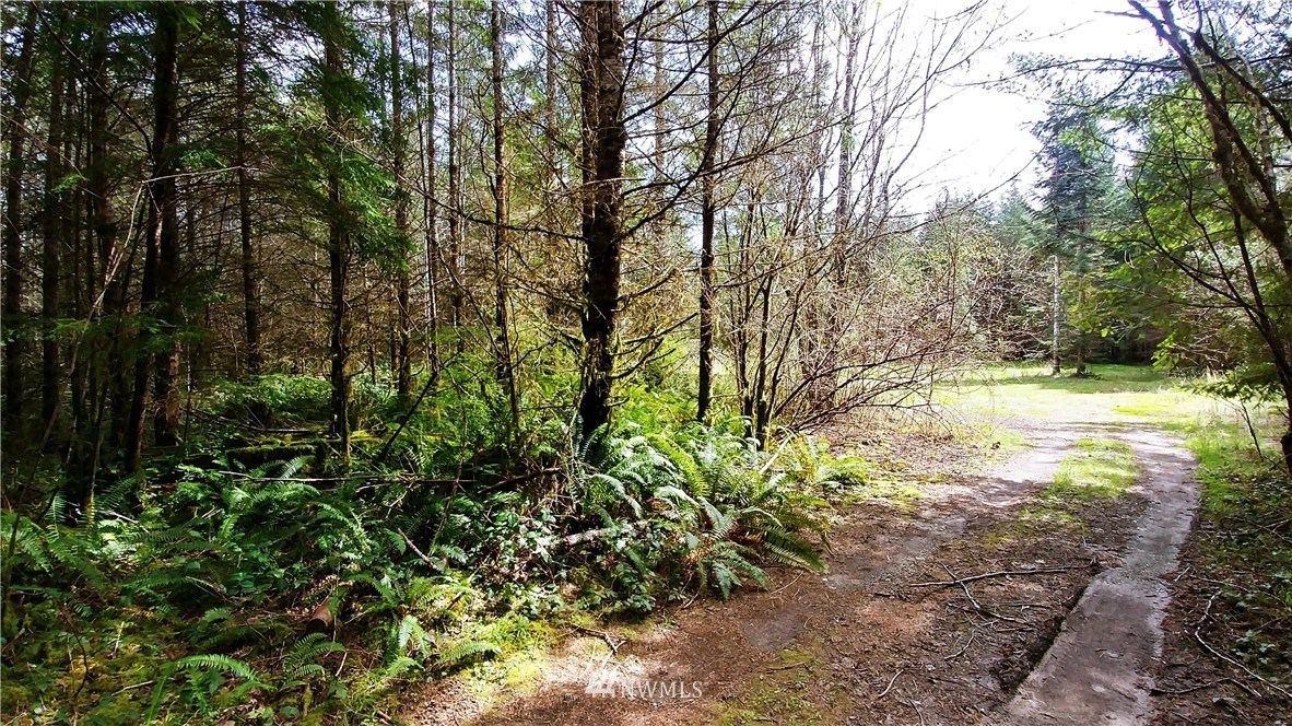 6344 Matlock-Brady Road Elma, WA 98541 - Photo 11 of 15 Gallery Image 11