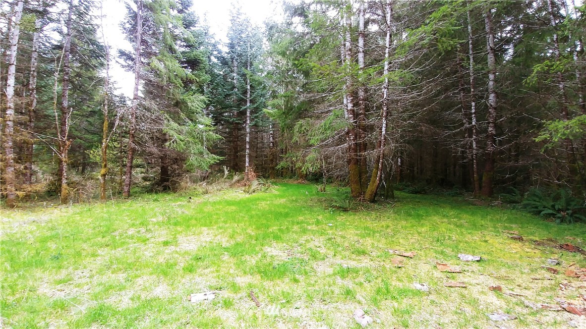 6344 Matlock-Brady Road Elma, WA 98541 - Photo 12 of 15 Gallery Image 12