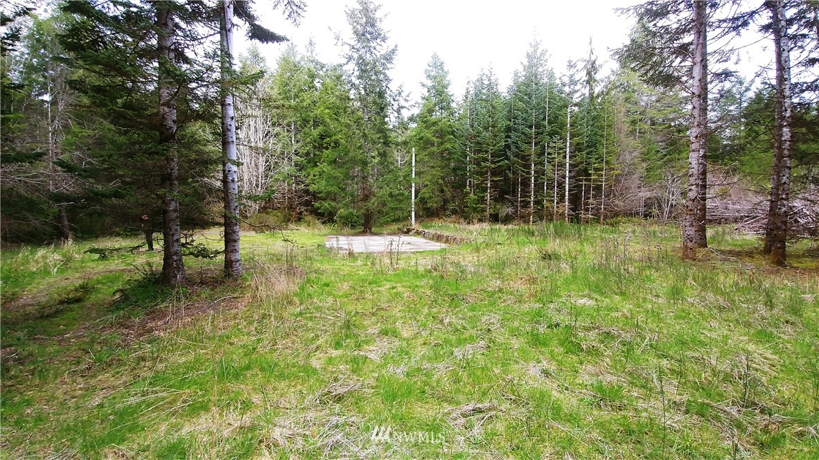 6344 Matlock-Brady Road Elma, WA 98541 - Photo 13 of 15 Gallery Image 13