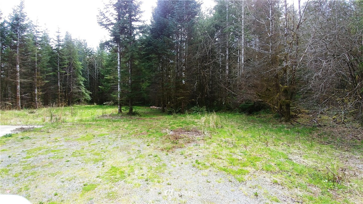 6344 Matlock-Brady Road Elma, WA 98541 - Photo 14 of 15 Gallery Image 14