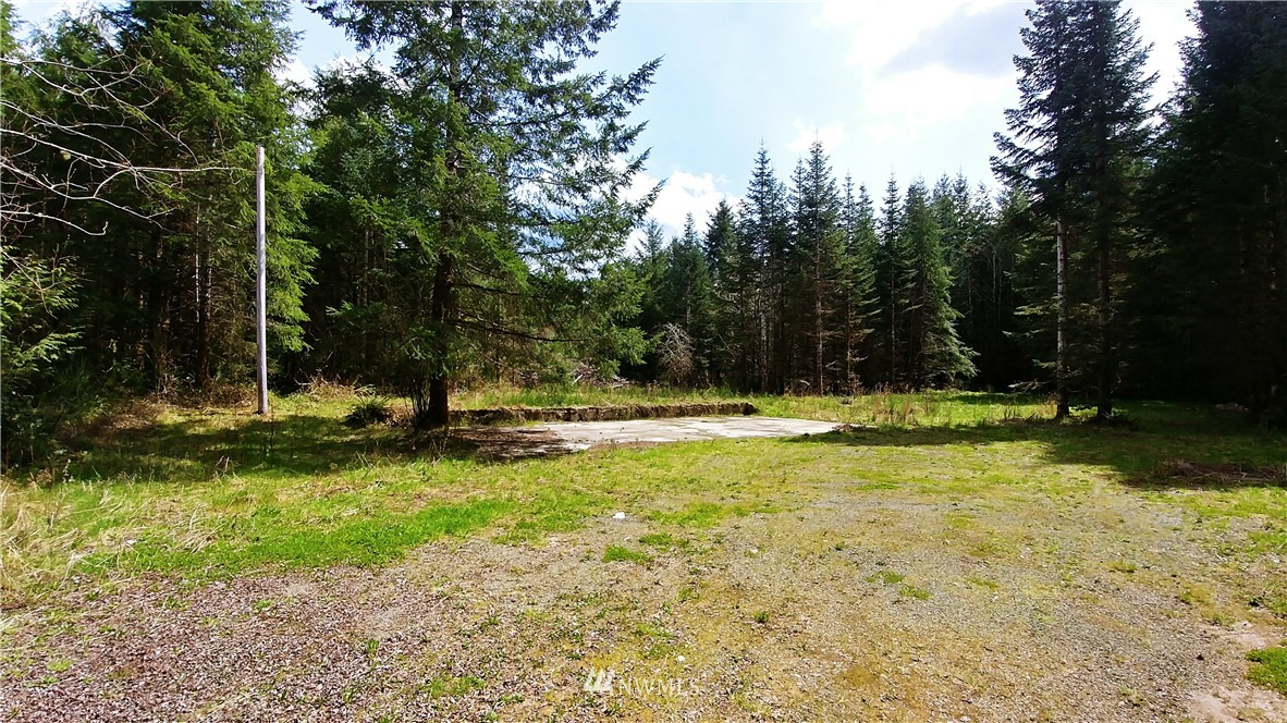 6344 Matlock-Brady Road Elma, WA 98541 - Photo 3 of 15 Gallery Image 3
