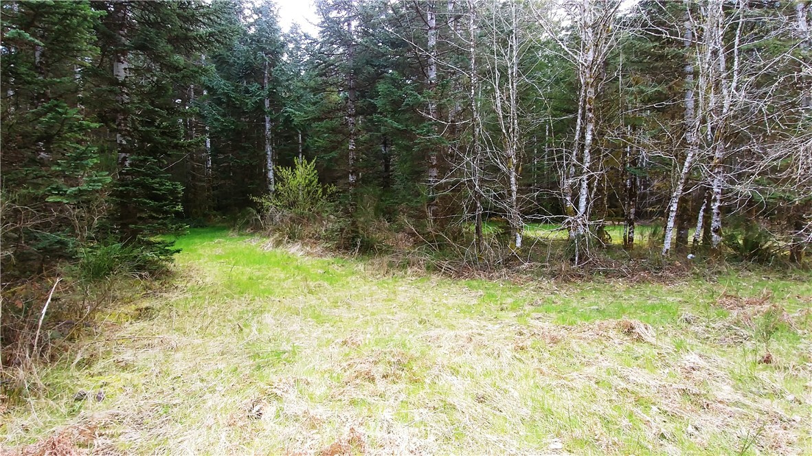 6344 Matlock-Brady Road Elma, WA 98541 - Photo 9 of 15 Gallery Image 9