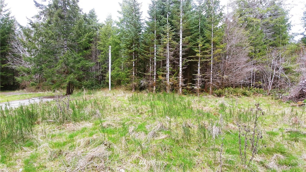 6344 Matlock-Brady Road Elma, WA 98541 - Photo 10 of 15 Gallery Image 10