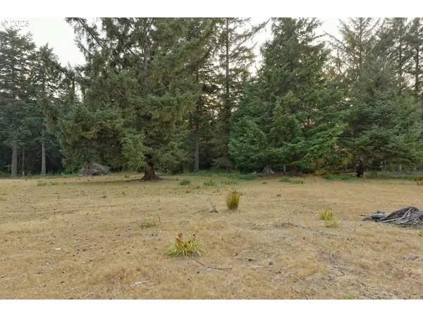 a view of an outdoor space and a yard