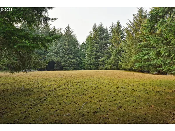 a view of a yard with large trees