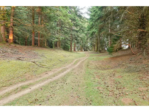 a view of a field with an trees