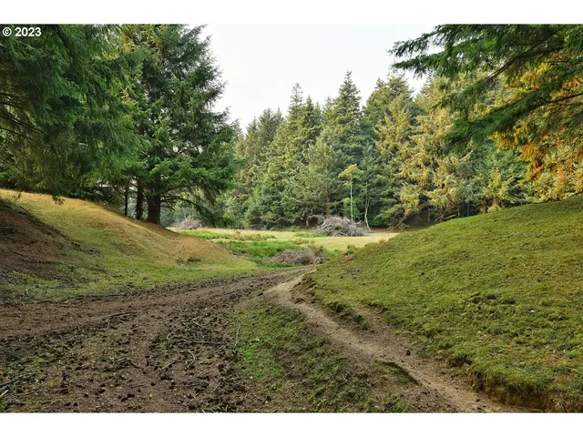 a view of a field with trees in the background