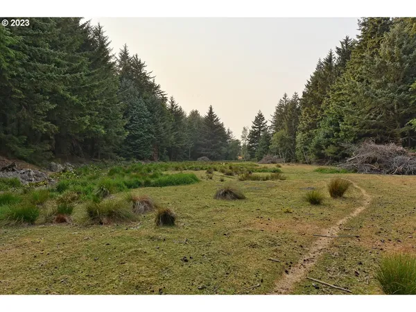 a view of a yard with trees in front of it