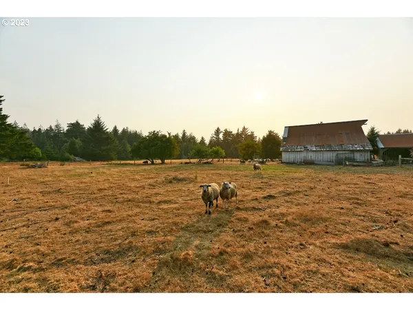 a view of a yard covered with snow in front of house