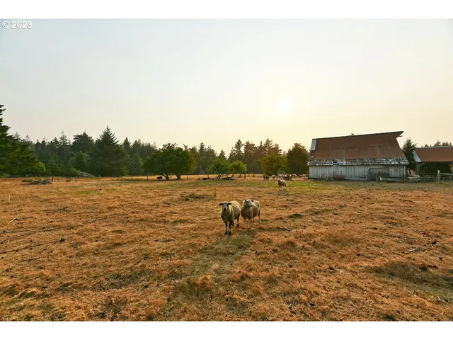 a view of a yard covered with snow in front of house