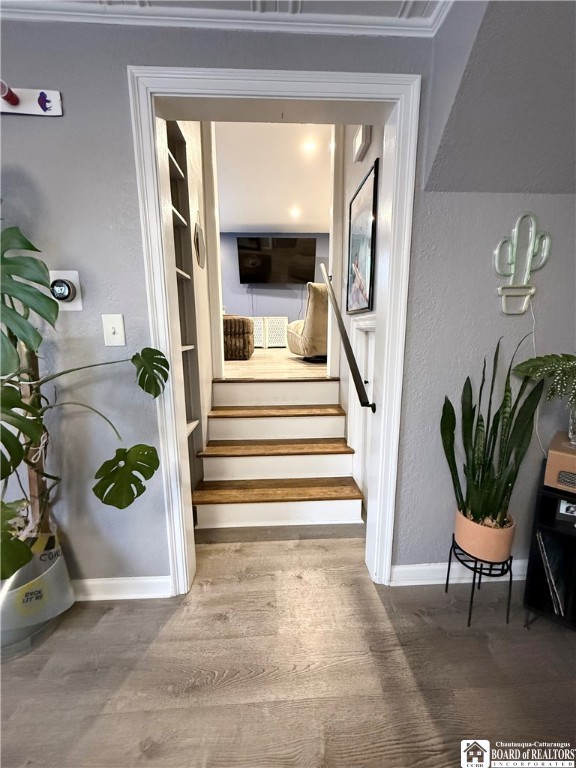 114 Virginia Street Olean, NY 14760 - Photo 9 of 19