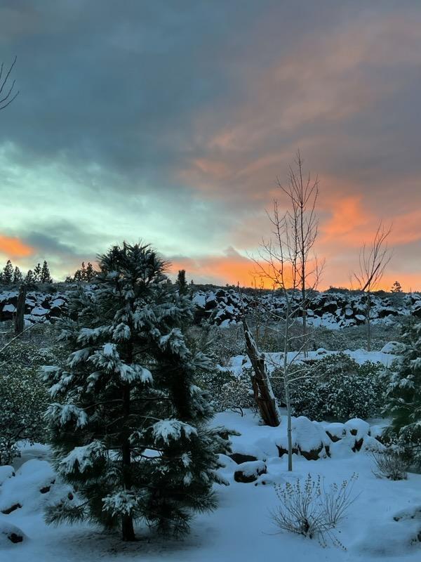 61384 Lost Holw Loop Bend, OR 97702 - Photo 30 of 32 Looking out back of home!