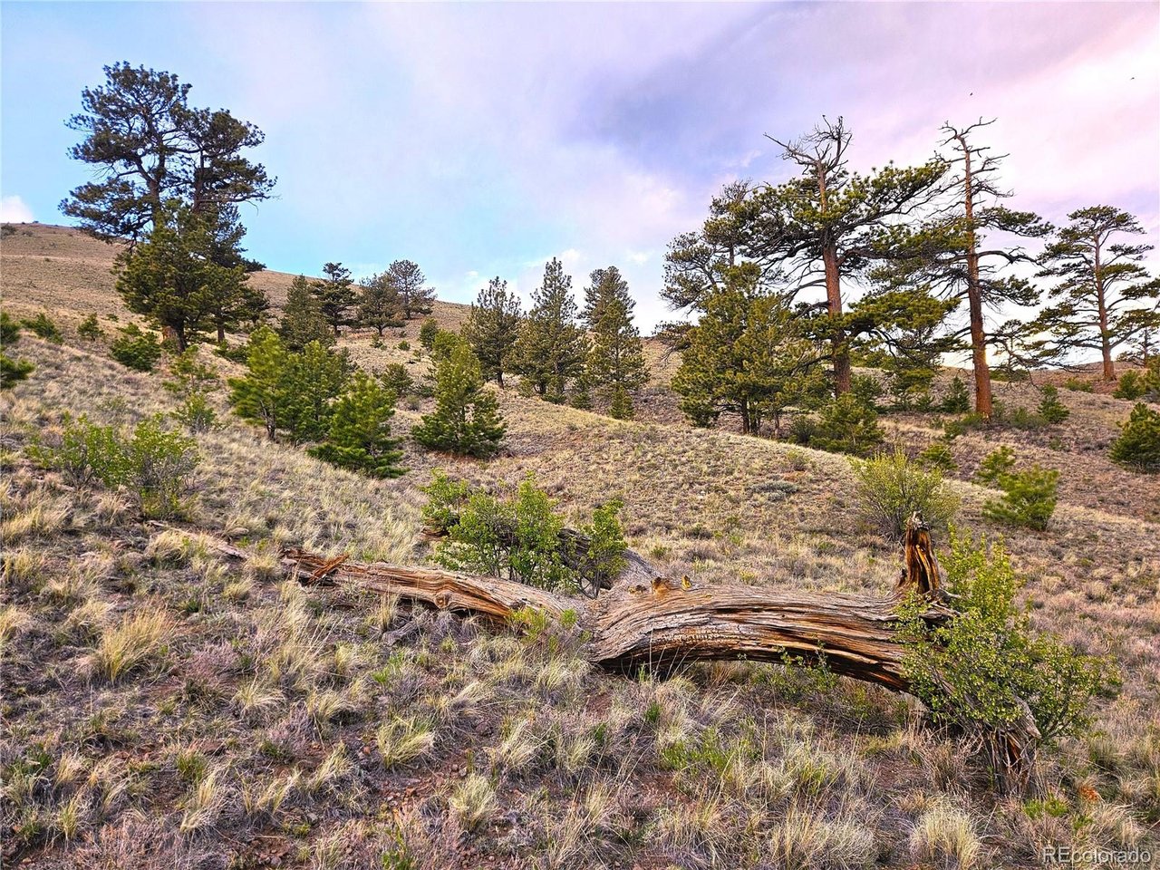 25427 Yuma Road Hartsel, CO 80449 - Photo 7 of 31