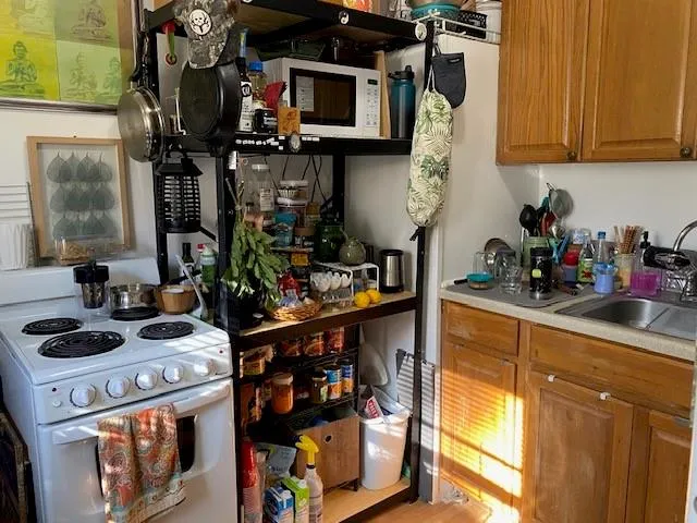 $510,000 | 221 Hillary Street, New Orleans, LA 70118