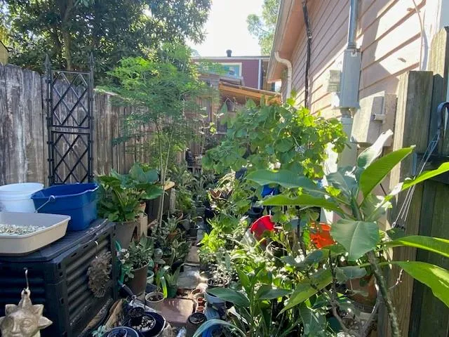 $510,000 | 221 Hillary Street, New Orleans, LA 70118