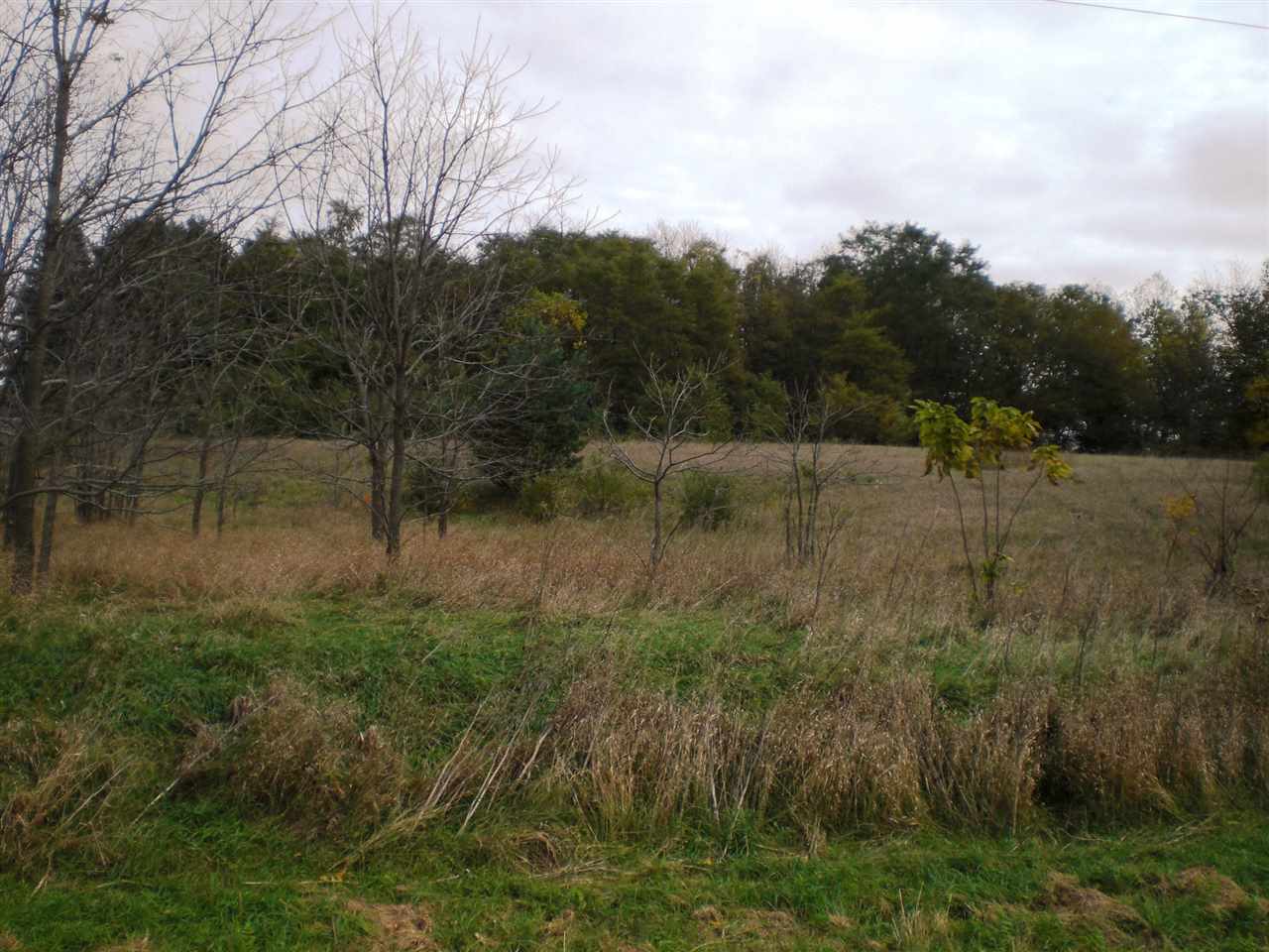 16207 Best Road Davis, IL 61019 - Photo 4 of 9 a view of a green field with lots of bushes