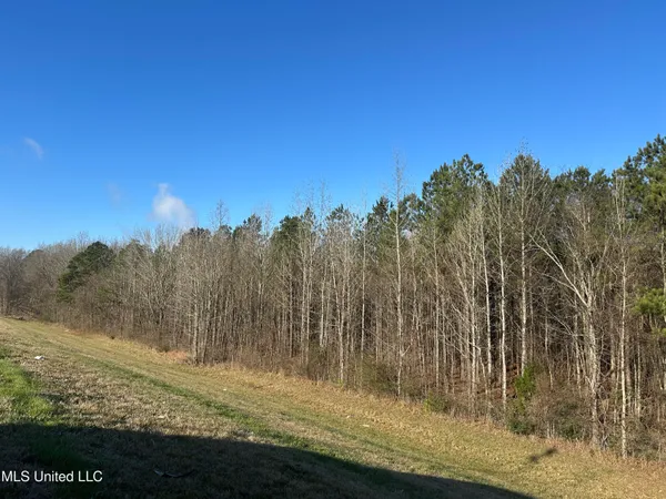 $1,400,000 | 123 North Livingston Road, Ridgeland, MS 39157