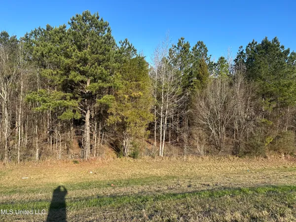 $1,400,000 | 123 North Livingston Road, Ridgeland, MS 39157
