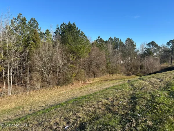 $1,400,000 | 123 North Livingston Road, Ridgeland, MS 39157
