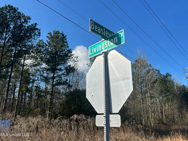 $1,400,000 | 123 North Livingston Road, Ridgeland, MS 39157