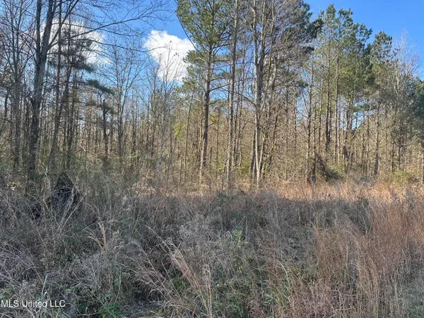 $1,400,000 | 123 North Livingston Road, Ridgeland, MS 39157
