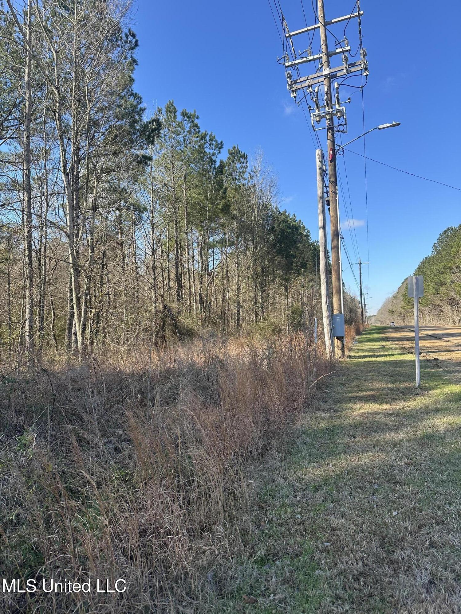 123 North Livingston Road Ridgeland, MS 39157 - Photo 10 of 11 IMG_5744