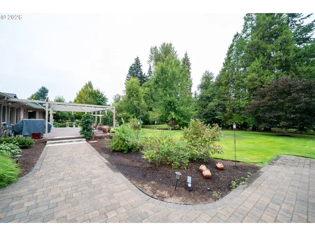a view of a park with large trees