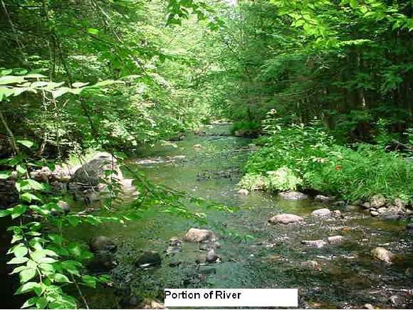 Lot 21 Brownell Road Ossipee, NH 03814 - Photo 1 of 8