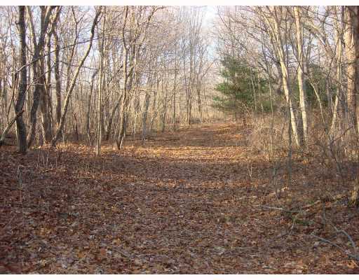 813 Saugatucket Road South Kingstown, RI 02879 - Photo 4 of 6 Land/Lot.