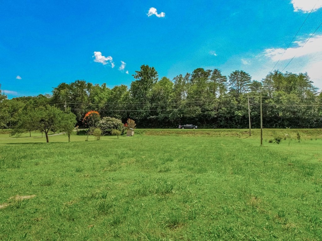 3 Wilton Springs Road Newport, TN 37821 - Photo 8 of 15 Gallery Image 8