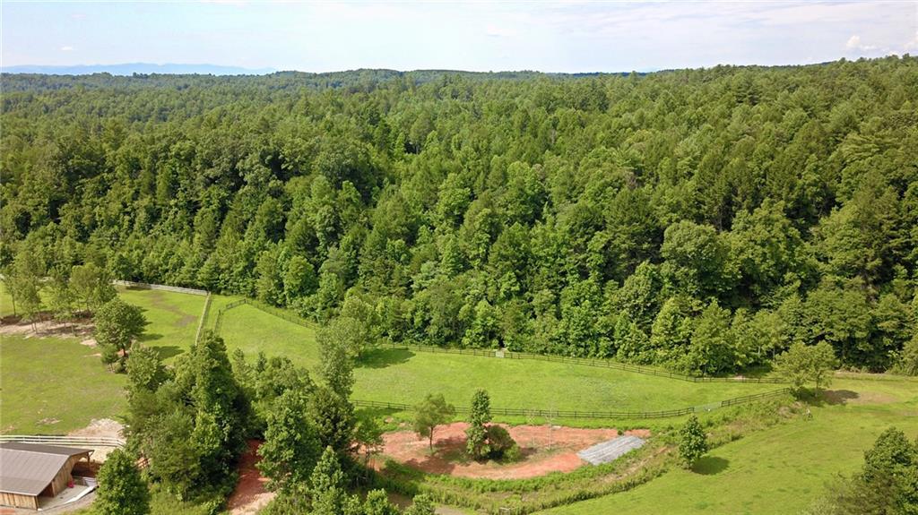 5546 Low Country Road Lenoir, NC 28645 - Photo 40 of 42 Gallery Image 40