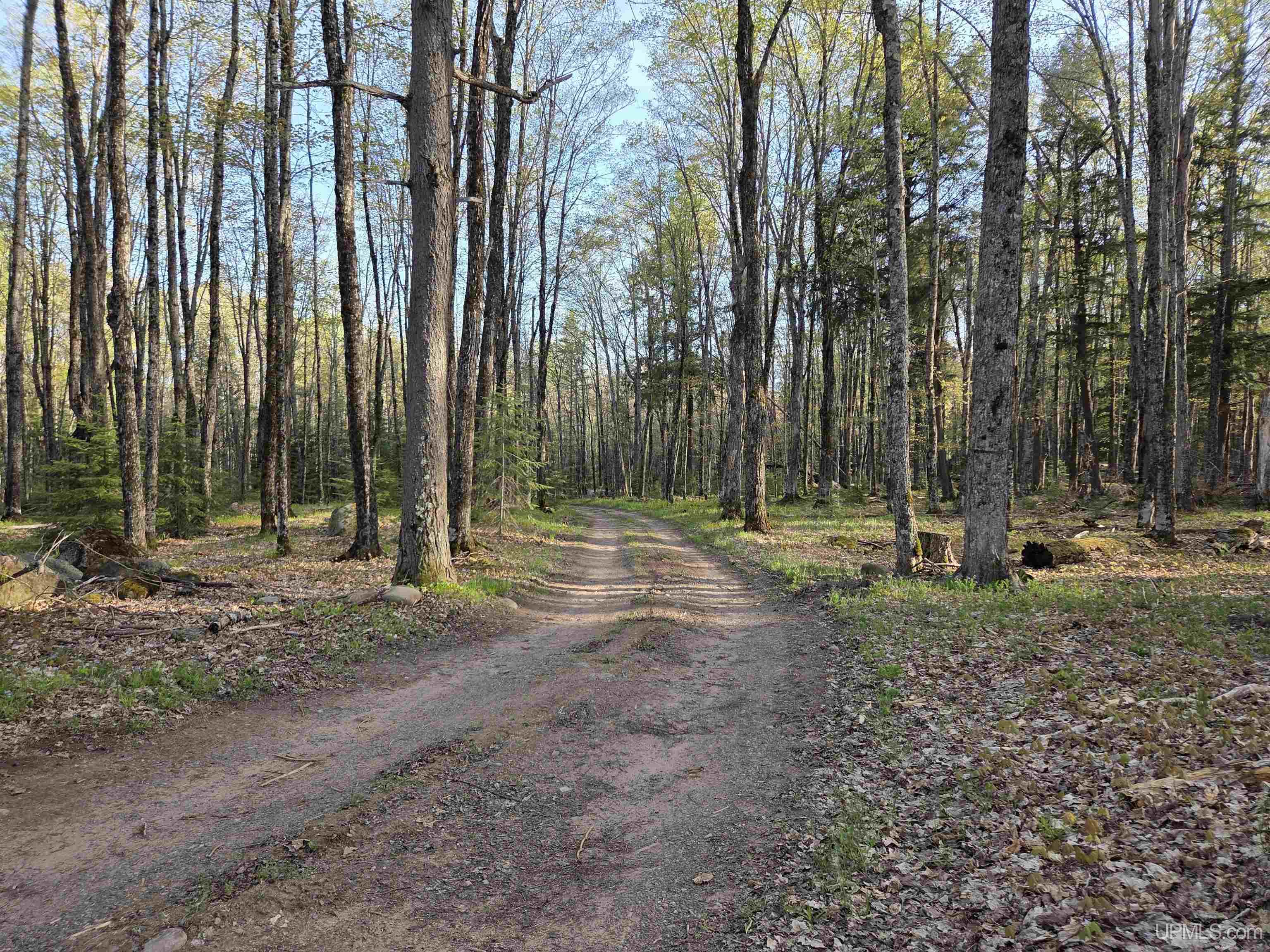 6079 East Beaton Lake Road Watersmeet, MI 49969 - Photo 30 of 30