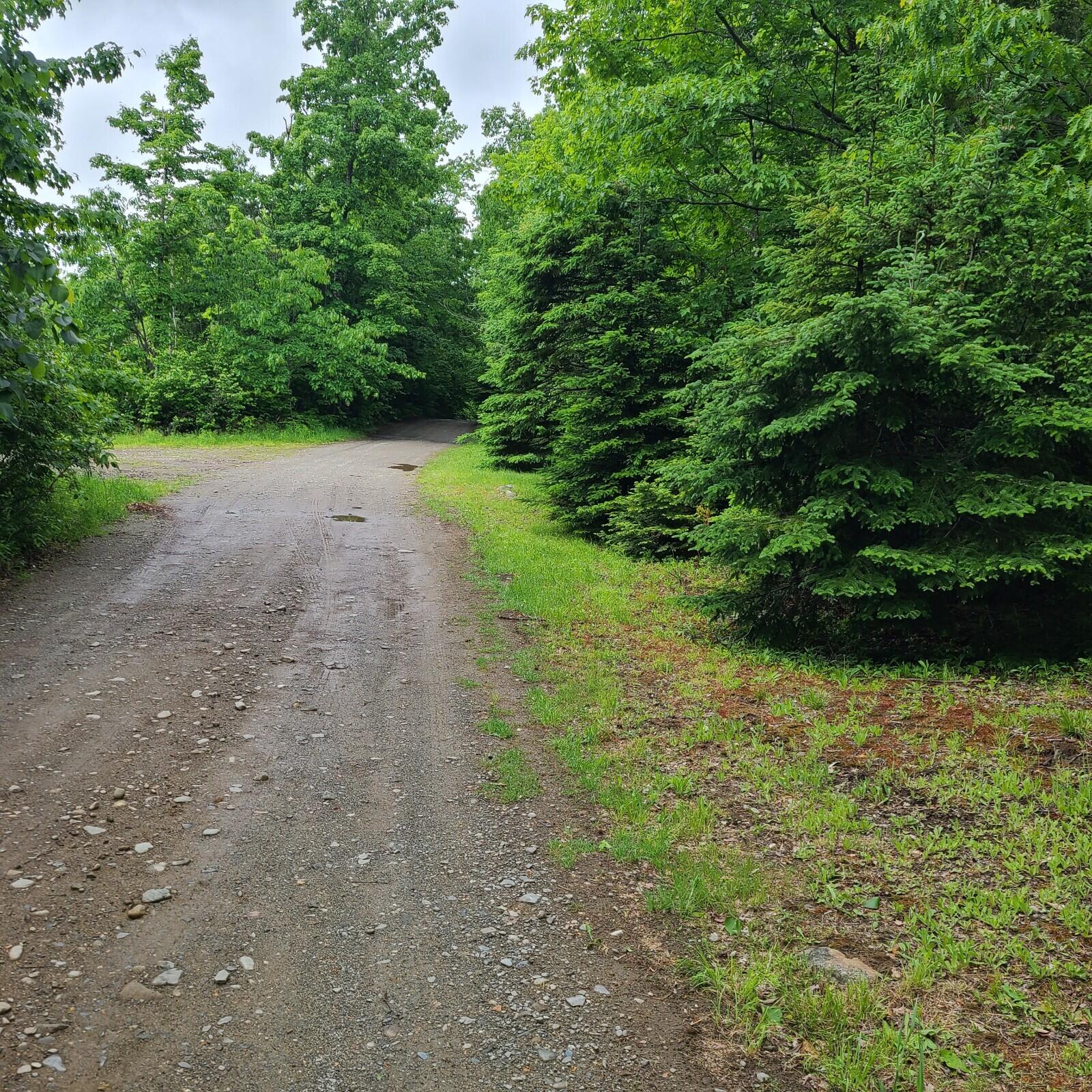 11-1 Cornforth Road Industry, ME 04938 - Photo 11 of 12 20230609_110349