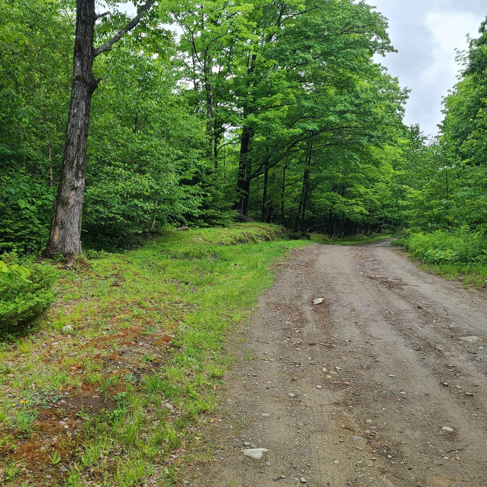 11-1 Cornforth Road Industry, ME 04938 - Photo 12 of 12 20230609_110402