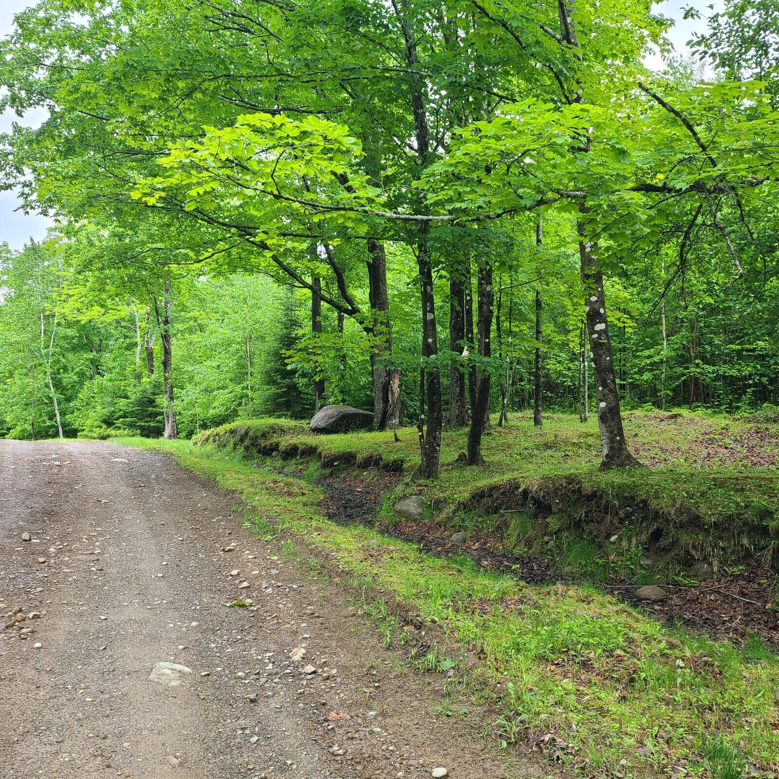 11-1 Cornforth Road Industry, ME 04938 - Photo 2 of 12 20230609_111152