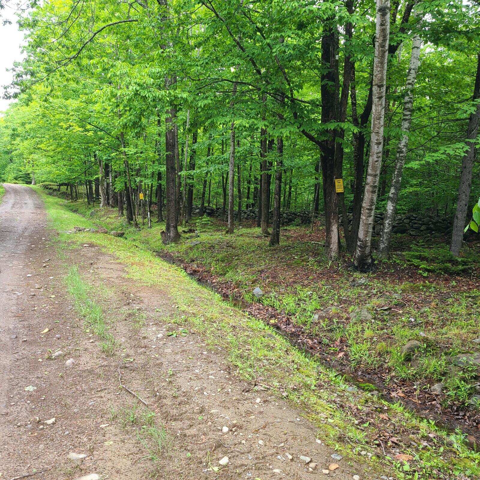 11-1 Cornforth Road Industry, ME 04938 - Photo 3 of 12 20230609_111018