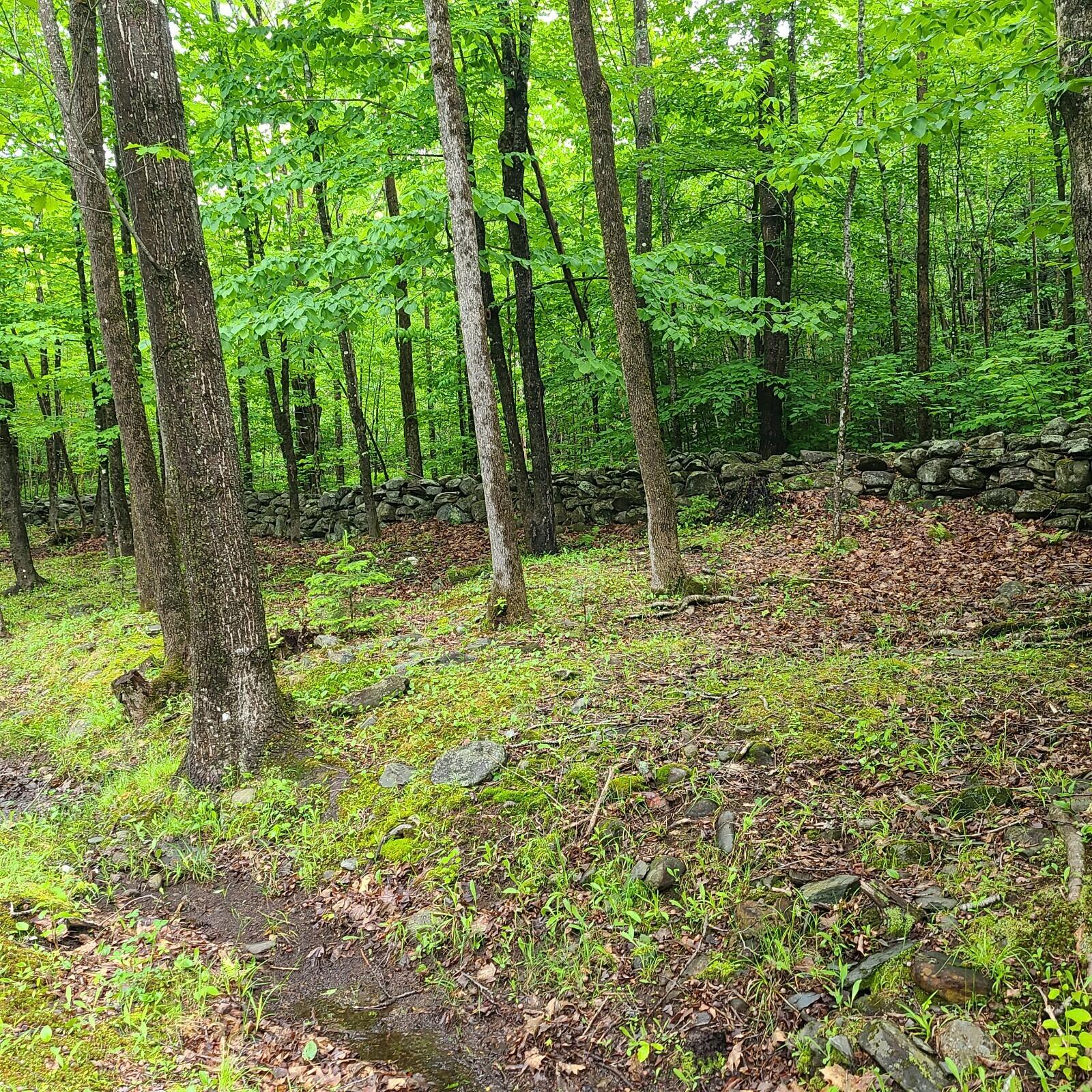 11-1 Cornforth Road Industry, ME 04938 - Photo 4 of 12 20230609_111039