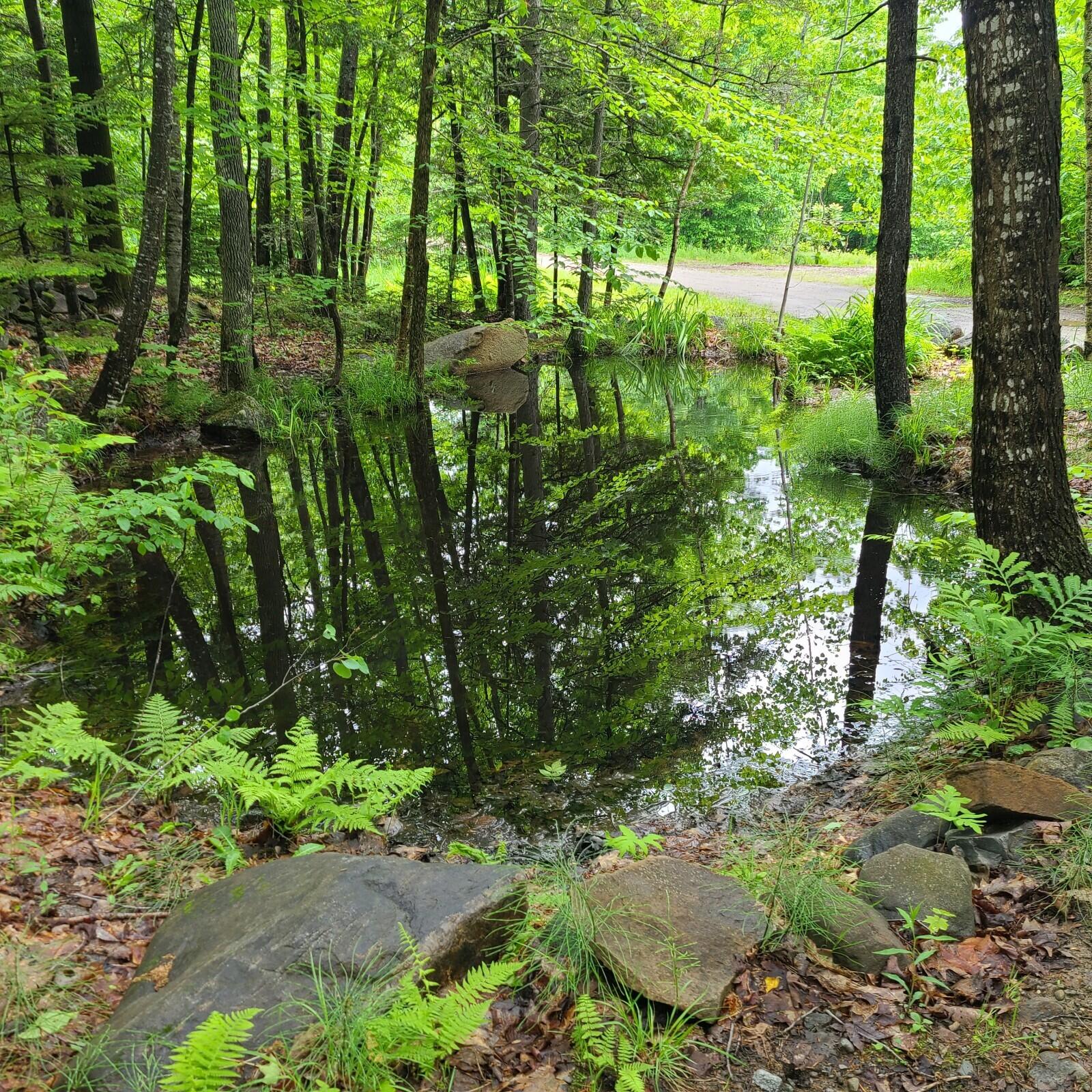 11-1 Cornforth Road Industry, ME 04938 - Photo 6 of 12 20230609_111800