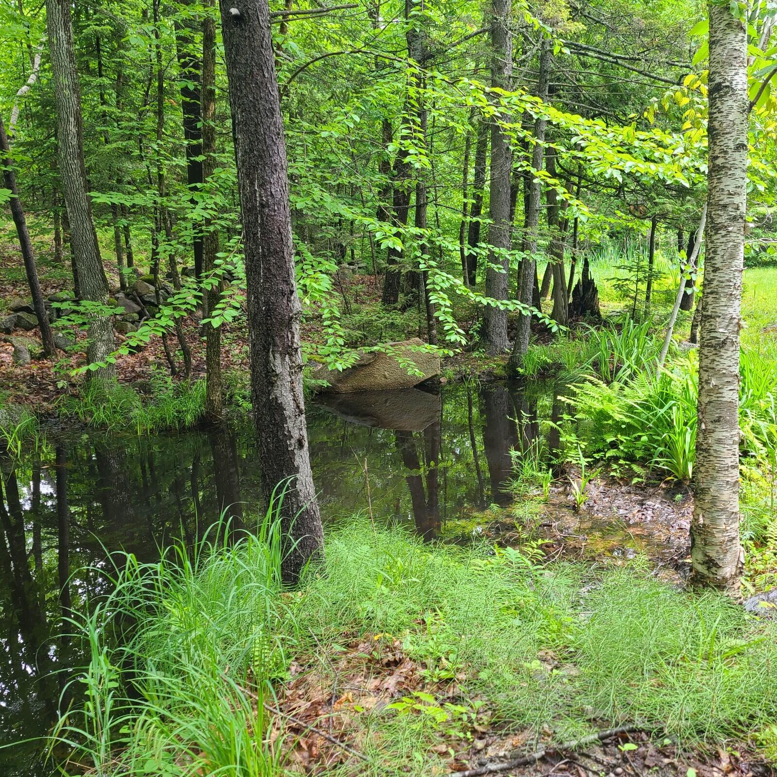 11-1 Cornforth Road Industry, ME 04938 - Photo 7 of 12 20230609_111815