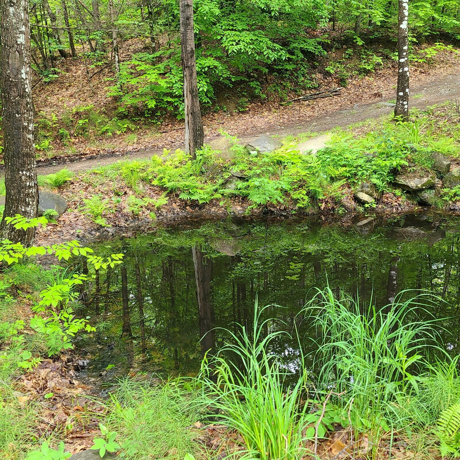 11-1 Cornforth Road Industry, ME 04938 - Photo 8 of 12 20230609_111826