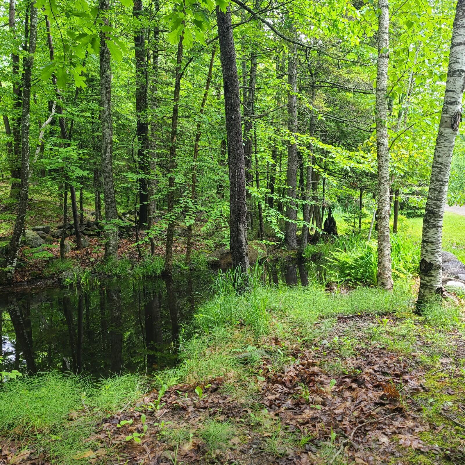11-1 Cornforth Road Industry, ME 04938 - Photo 9 of 12 20230609_111839