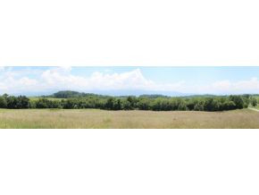 1116 Quillen Shell Road Greeneville, TN 37745 - Photo 5 of 24 Photo 5