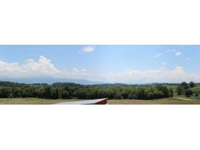 1116 Quillen Shell Road Greeneville, TN 37745 - Photo 6 of 24 Photo 6