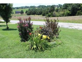 1116 Quillen Shell Road Greeneville, TN 37745 - Photo 7 of 24 Photo 7